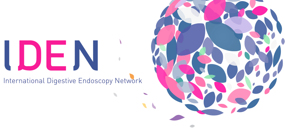 IDEN International Digestive Endoscopy Network